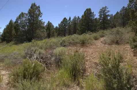 Wasco Street Sprague River OR 97639