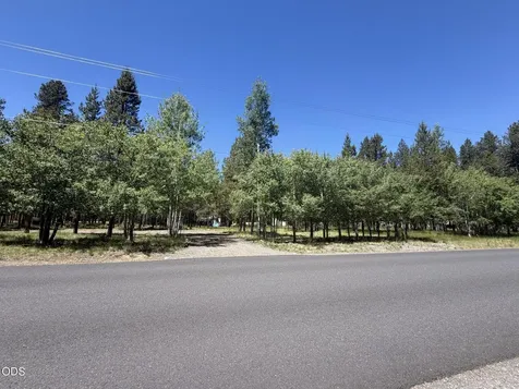 55869 Black Duck Road Bend OR 97707
