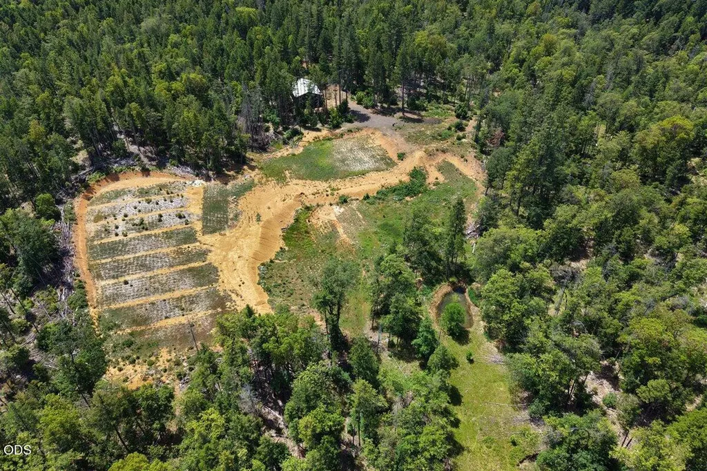 35000 Redwood Highway Cave Junction OR 97523