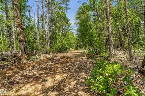 35000 Redwood Highway Cave Junction OR 97523