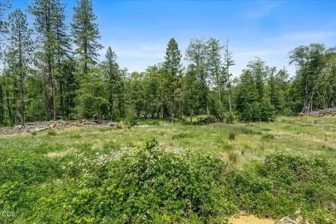 35000 Redwood Highway Cave Junction OR 97523