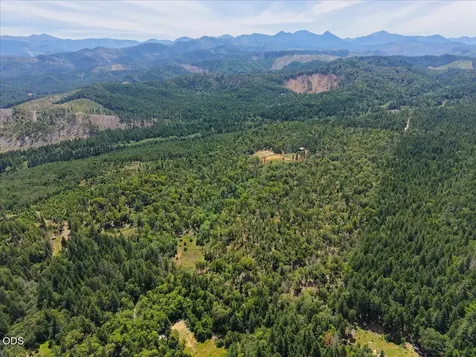 35000 Redwood Highway Cave Junction OR 97523