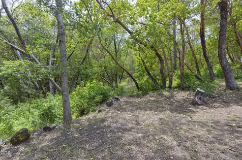 410 Schieffelin Gulch Road Gold Hill OR 97525
