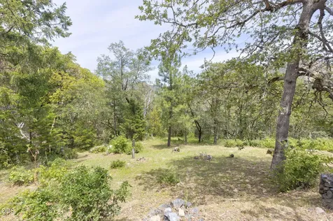 410 Schieffelin Gulch Road Gold Hill OR 97525