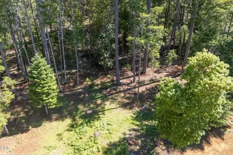 1133 Idlewild Drive Cave Junction OR 97523