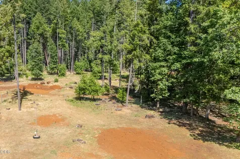 1133 Idlewild Drive Cave Junction OR 97523