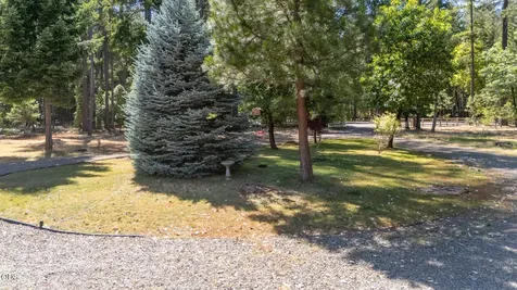 1133 Idlewild Drive Cave Junction OR 97523