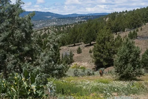 26547 Chimney Gulch Road John Day OR 97845