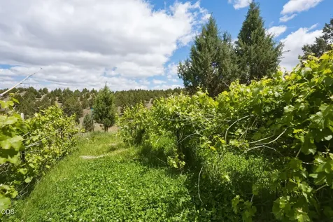26547 Chimney Gulch Road John Day OR 97845