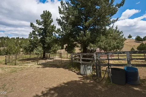 26547 Chimney Gulch Road John Day OR 97845