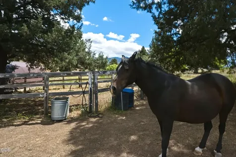 26547 Chimney Gulch Road John Day OR 97845