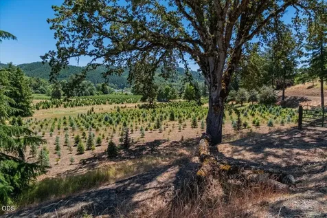 106 Green Valley Road Oakland OR 97462