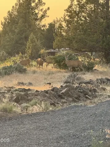 13005 SW Airstrip Lane Culver OR 97734