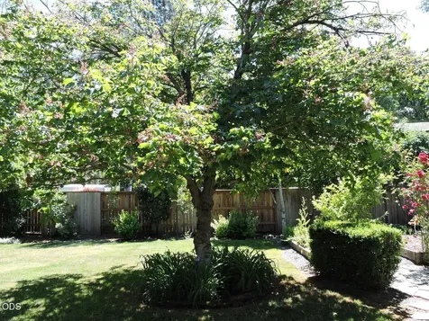 1025 Anglers Place Shady Cove OR 97539