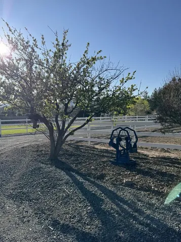 12140 Clovis Drive Klamath Falls OR 97603