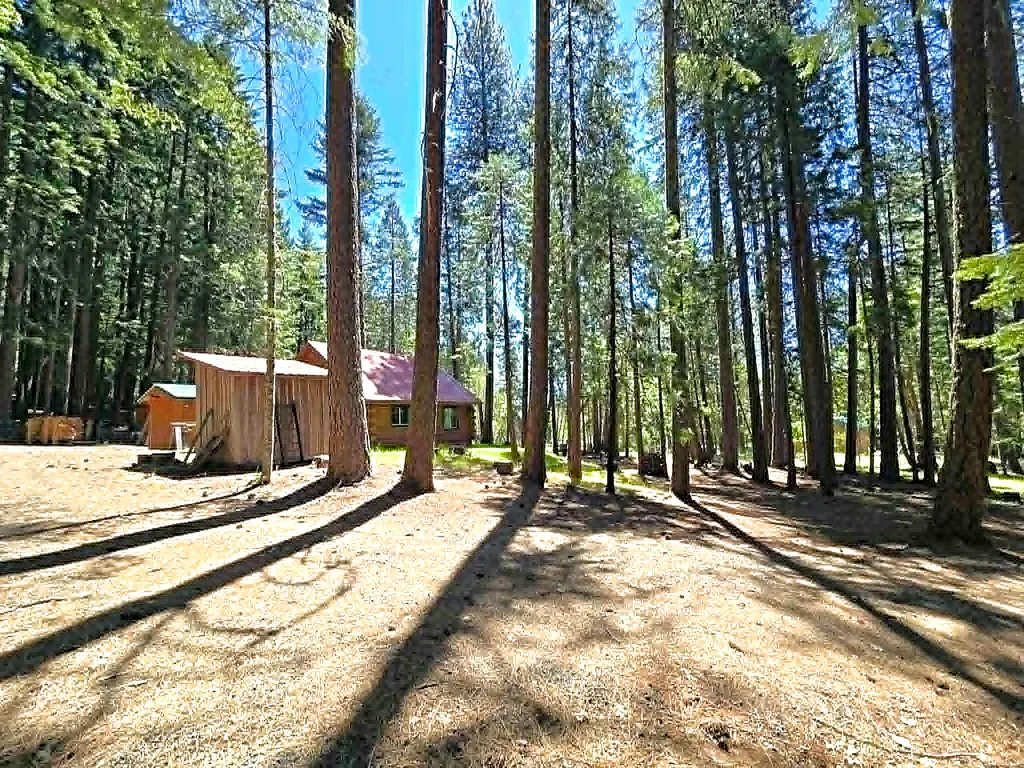836 Ulrich Road Prospect OR 97536