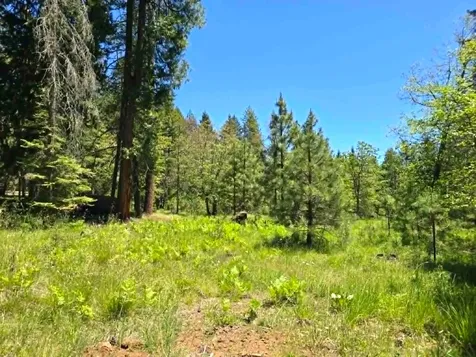 836 Ulrich Road Prospect OR 97536