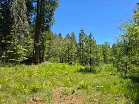 836 Ulrich Road Prospect OR 97536