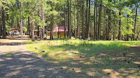 836 Ulrich Road Prospect OR 97536