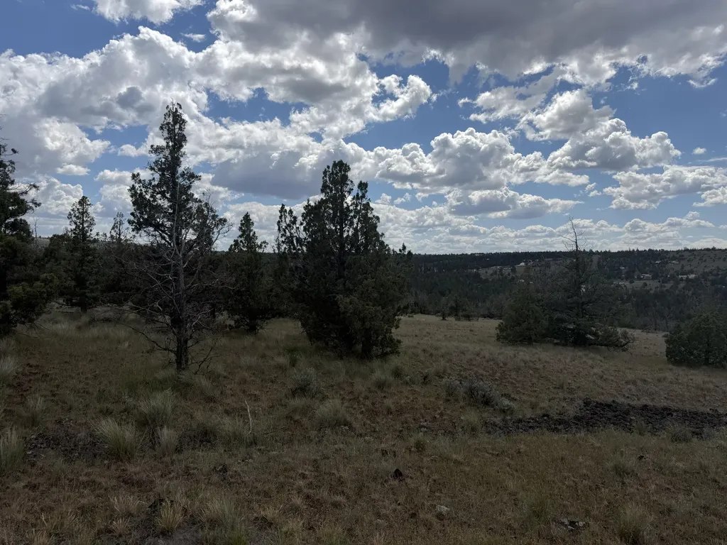 14587 SE Sharps Road Prineville OR 97754