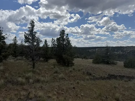 14587 SE Sharps Road Prineville OR 97754