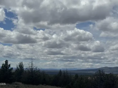 SE Texas Circle Prineville OR 97754
