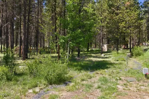 16324 Blacktail Lane Bend OR 97707