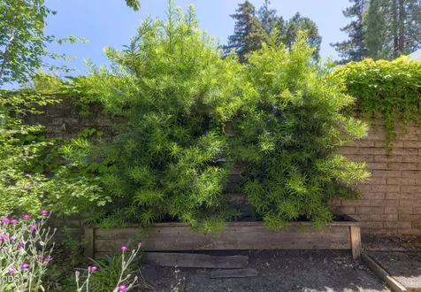 1325 NW Lawnridge Avenue Grants Pass OR 97526