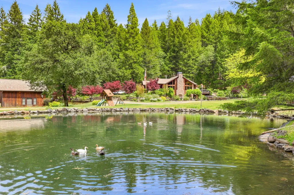 985 Elliott Creek Road Wilderville OR 97543