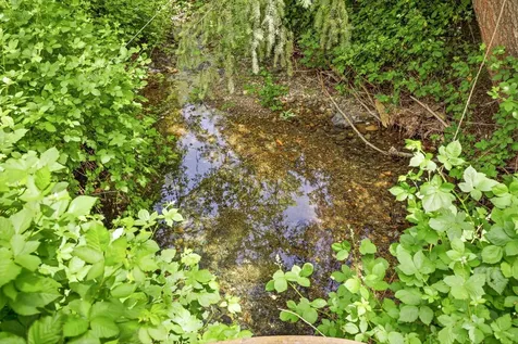 985 Elliott Creek Road Wilderville OR 97543