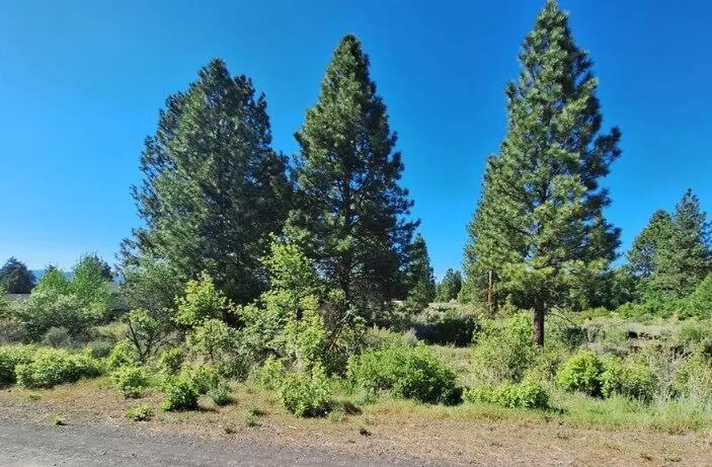 Shoreview Drive Chiloquin OR 97624
