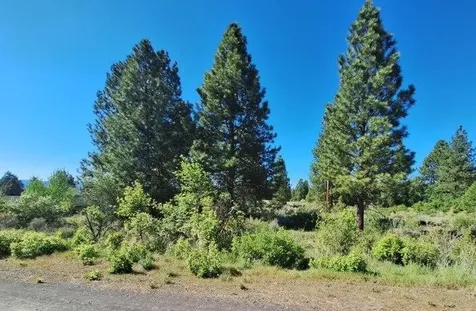 Shoreview Drive Chiloquin OR 97624