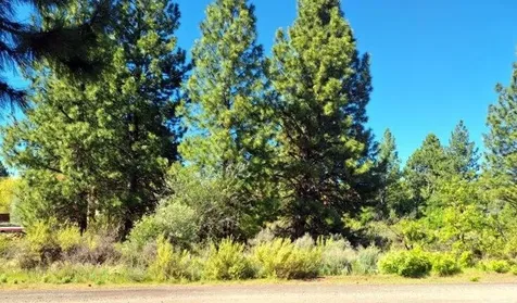 Shoreview Drive Chiloquin OR 97624