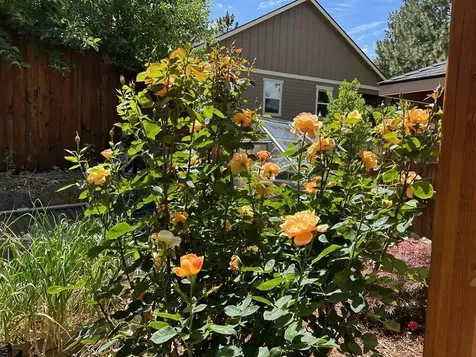 62944 Fresca Street Bend OR 97703