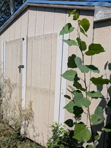 1035 Applewood Street Klamath Falls OR 97603
