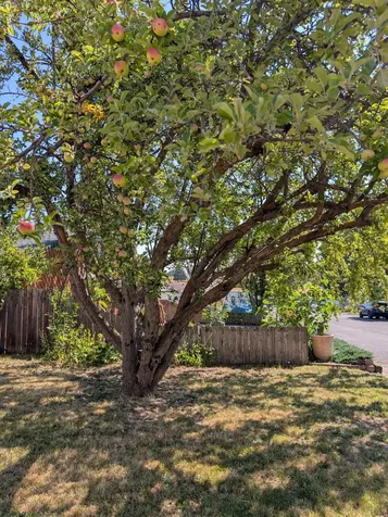 1035 Applewood Street Klamath Falls OR 97603