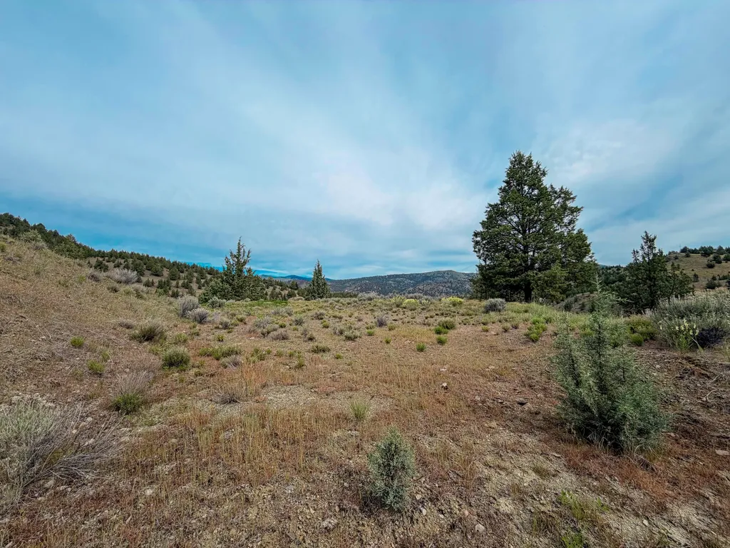 Luce Creek Road John Day OR 97845