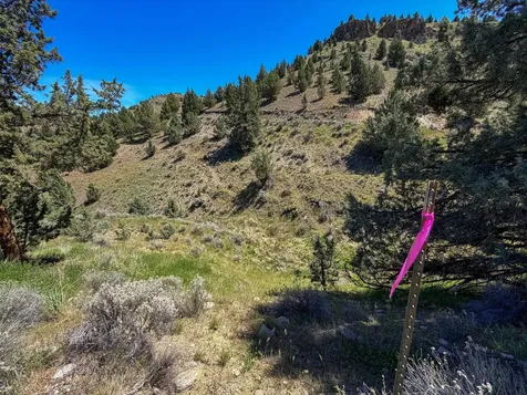Luce Creek Road John Day OR 97845