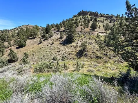 Luce Creek Road John Day OR 97845