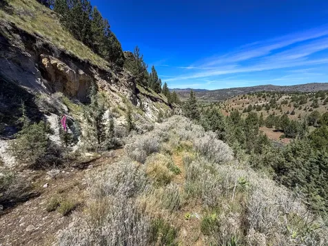 Luce Creek Road John Day OR 97845