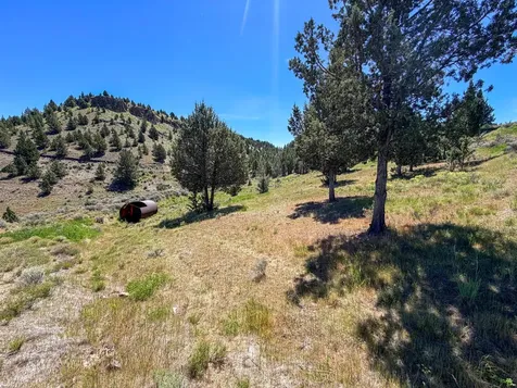 Luce Creek Road John Day OR 97845