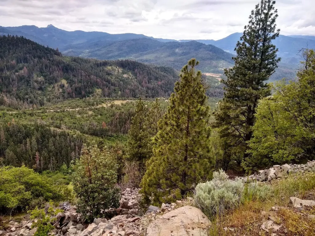 8074 Highway 66 Ashland OR 97520
