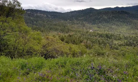 8074 Highway 66 Ashland OR 97520