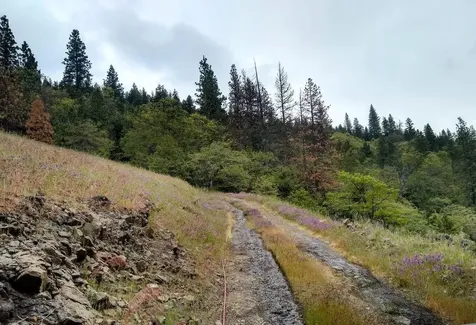 8074 Highway 66 Ashland OR 97520