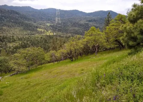 8074 Highway 66 Ashland OR 97520