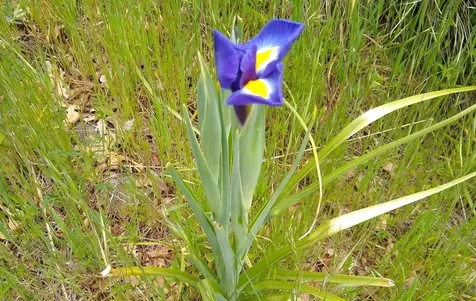 8074 Highway 66 Ashland OR 97520
