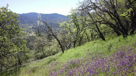 8074 Highway 66 Ashland OR 97520