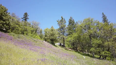 8074 Highway 66 Ashland OR 97520