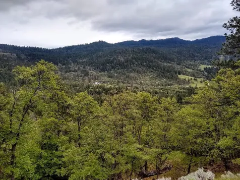 8074 Highway 66 Ashland OR 97520