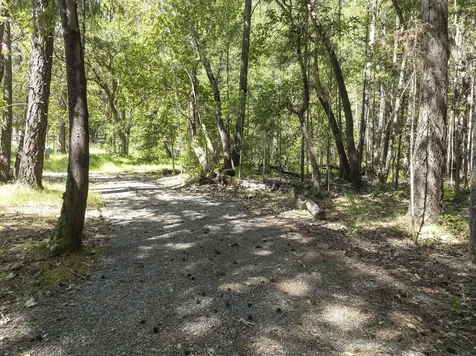 401 China Creek Road Williams OR 97544